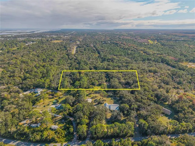 a view of a city with lush green forest