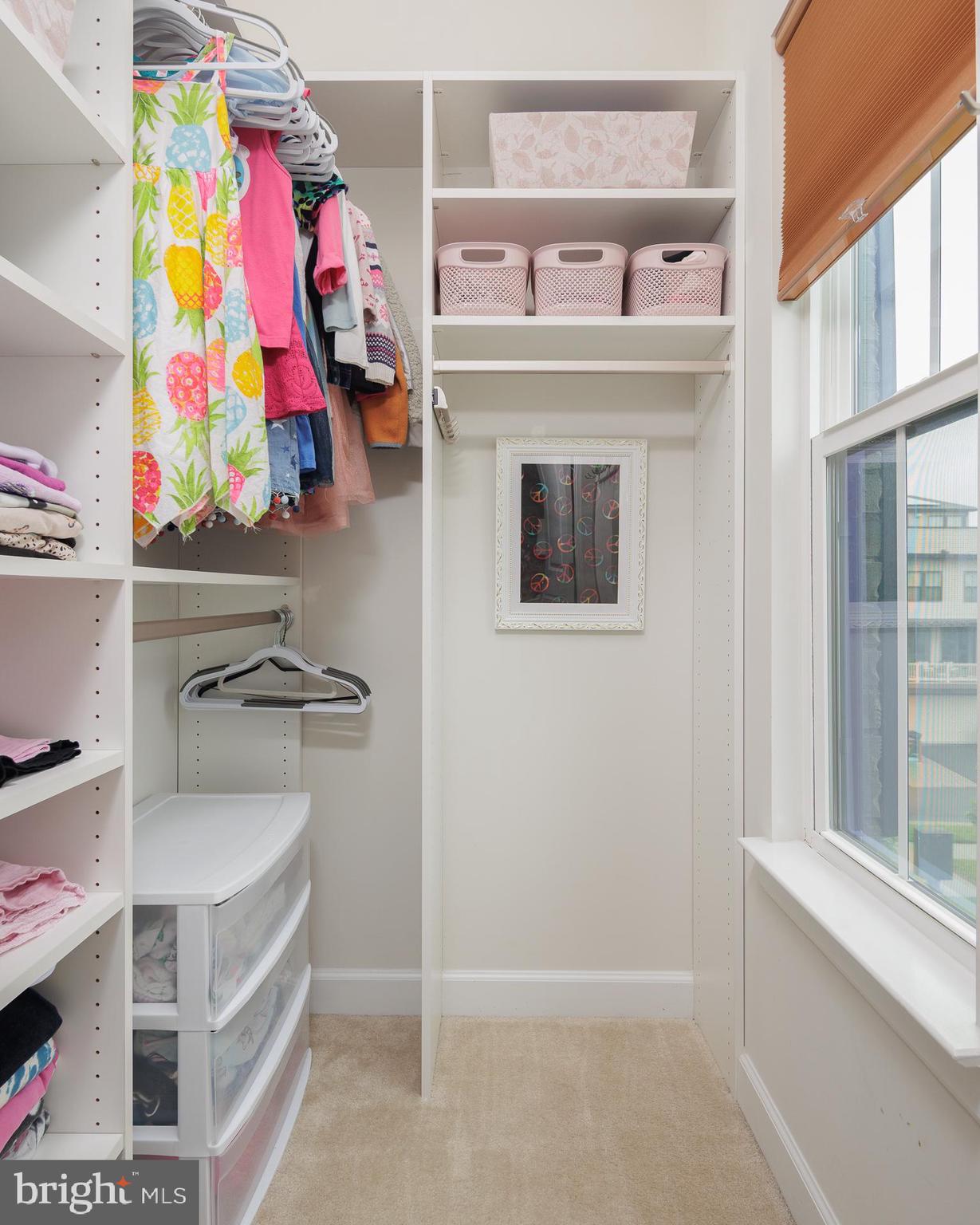 22355 Exe Square Ashburn, VA 20148 - Photo 19 of 65 En Suite Walk-in Closet w/Custom Shelving