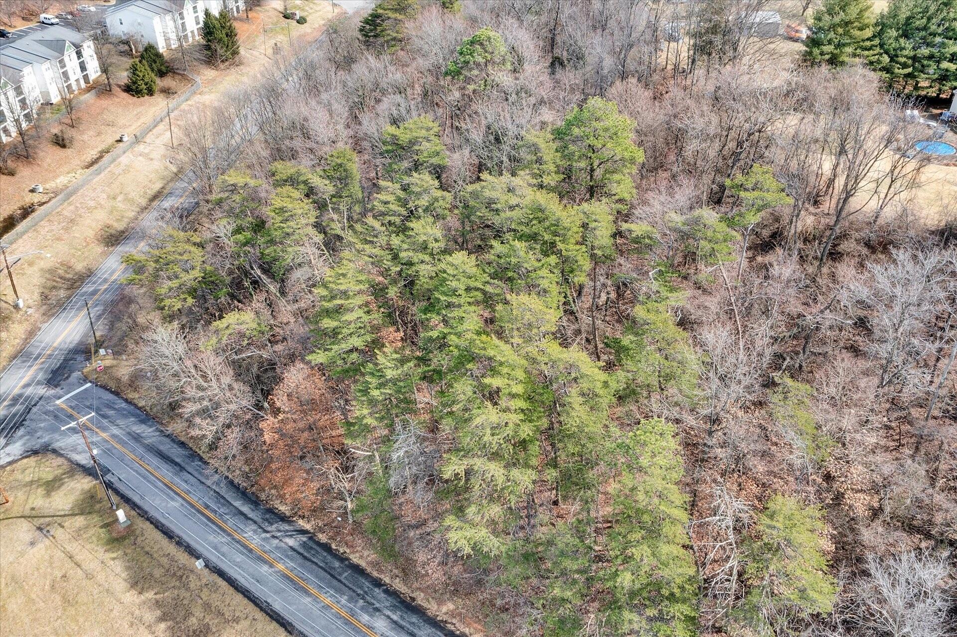 Hemlock 3