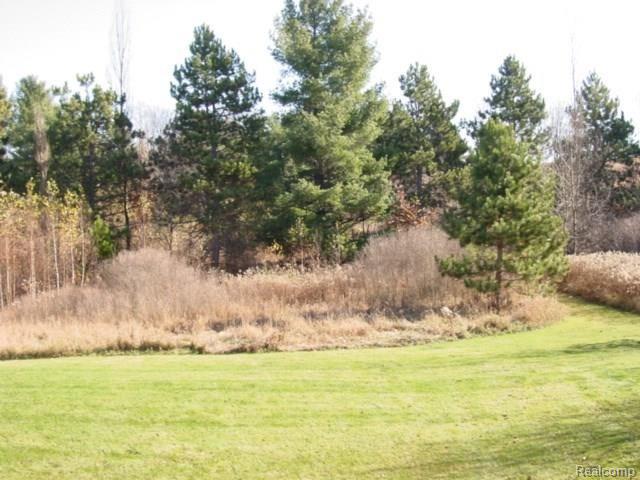 12530 Holtforth Road Fenton, MI 48430 - Photo 14 of 15 042.JPG