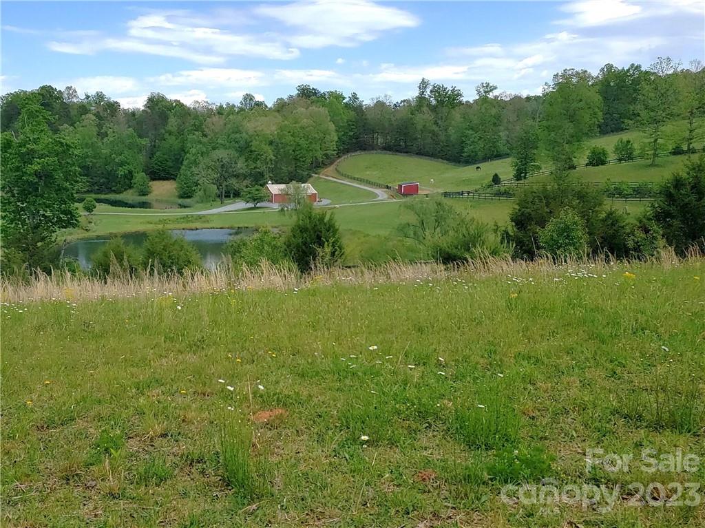 25.26-acres Polk County Line Road Rutherfordton, NC 28139 - Photo 1 of 34
