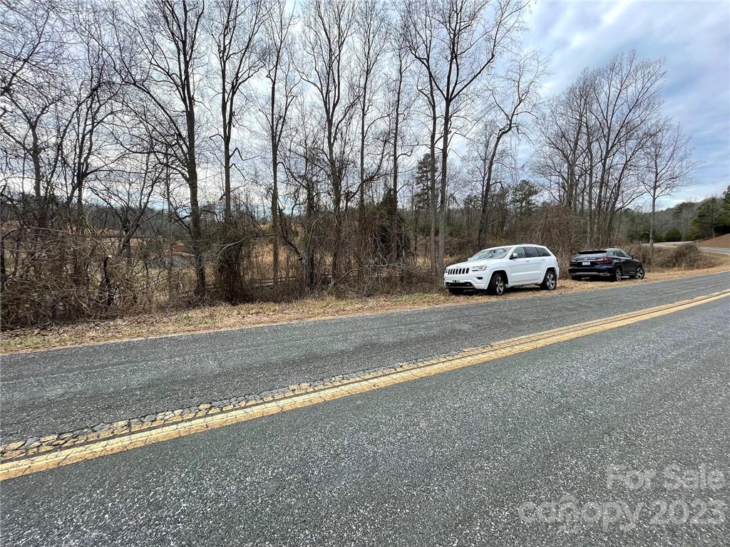 25.26-acres Polk County Line Road Rutherfordton, NC 28139 - Photo 17 of 34