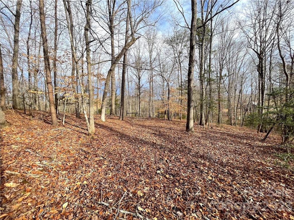25.26-acres Polk County Line Road Rutherfordton, NC 28139 - Photo 20 of 34