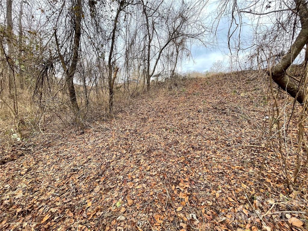 25.26-acres Polk County Line Road Rutherfordton, NC 28139 - Photo 29 of 34