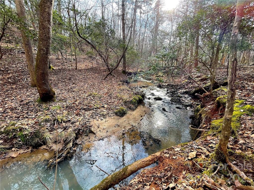25.26-acres Polk County Line Road Rutherfordton, NC 28139 - Photo 4 of 34
