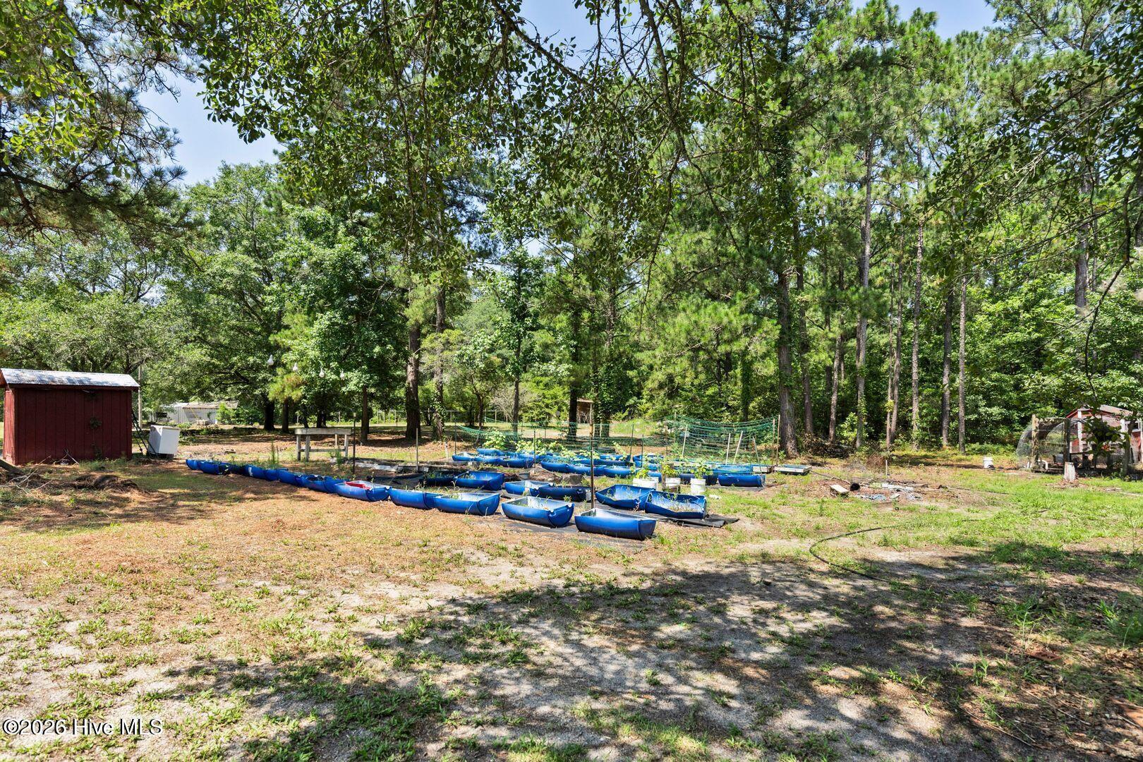 348 Murray Turner Farm Road Burgaw, NC 28425 - Photo 13 of 13