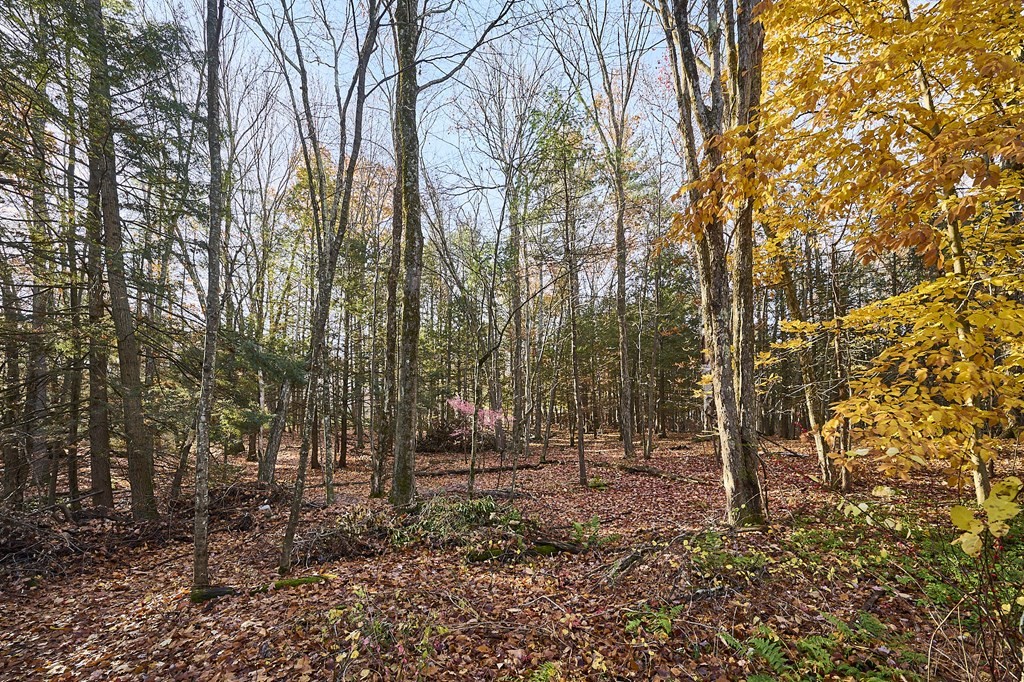 356 Chesterfield Road Northampton, MA 01053 - Photo 30 of 35