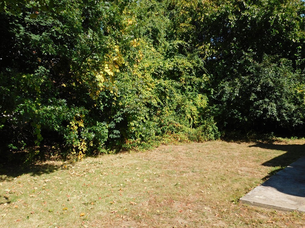 66 Notre Dame Street Springfield, MA 01104 - Photo 3 of 28 a view of a yard with trees