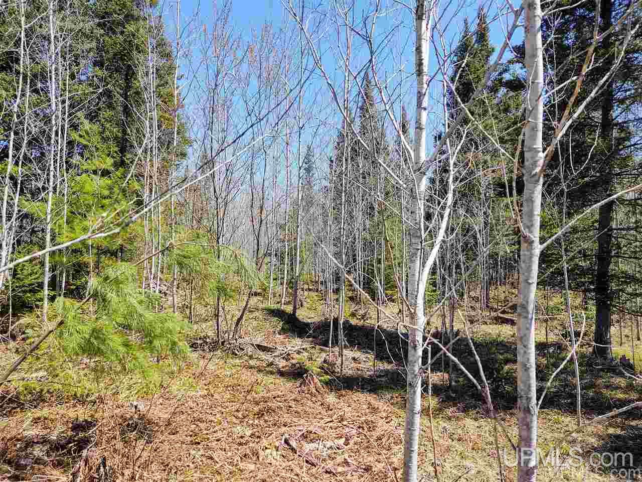 Tbd Forest Hwy 16 Road Iron River, MI 49935 - Photo 47 of 49