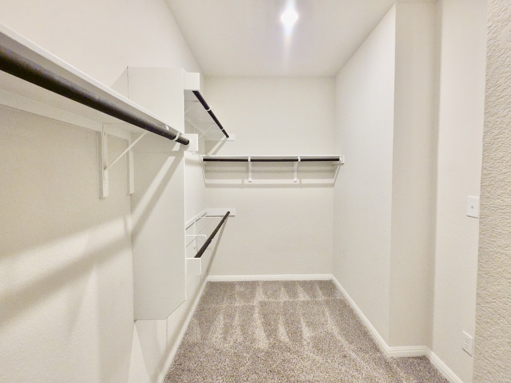 110 Grapefruit Road Hutto, TX 78634 - Photo 14 of 28 Walk-in closet featuring light-toned carpeting, white walls, and multiple built-in shelving units and hanging rods for organized storage