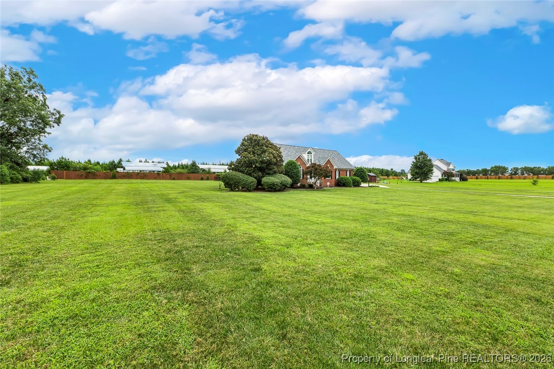 514 Averette Road Rolesville, NC 27571 - Photo 38 of 38 a view of a big yard with green space