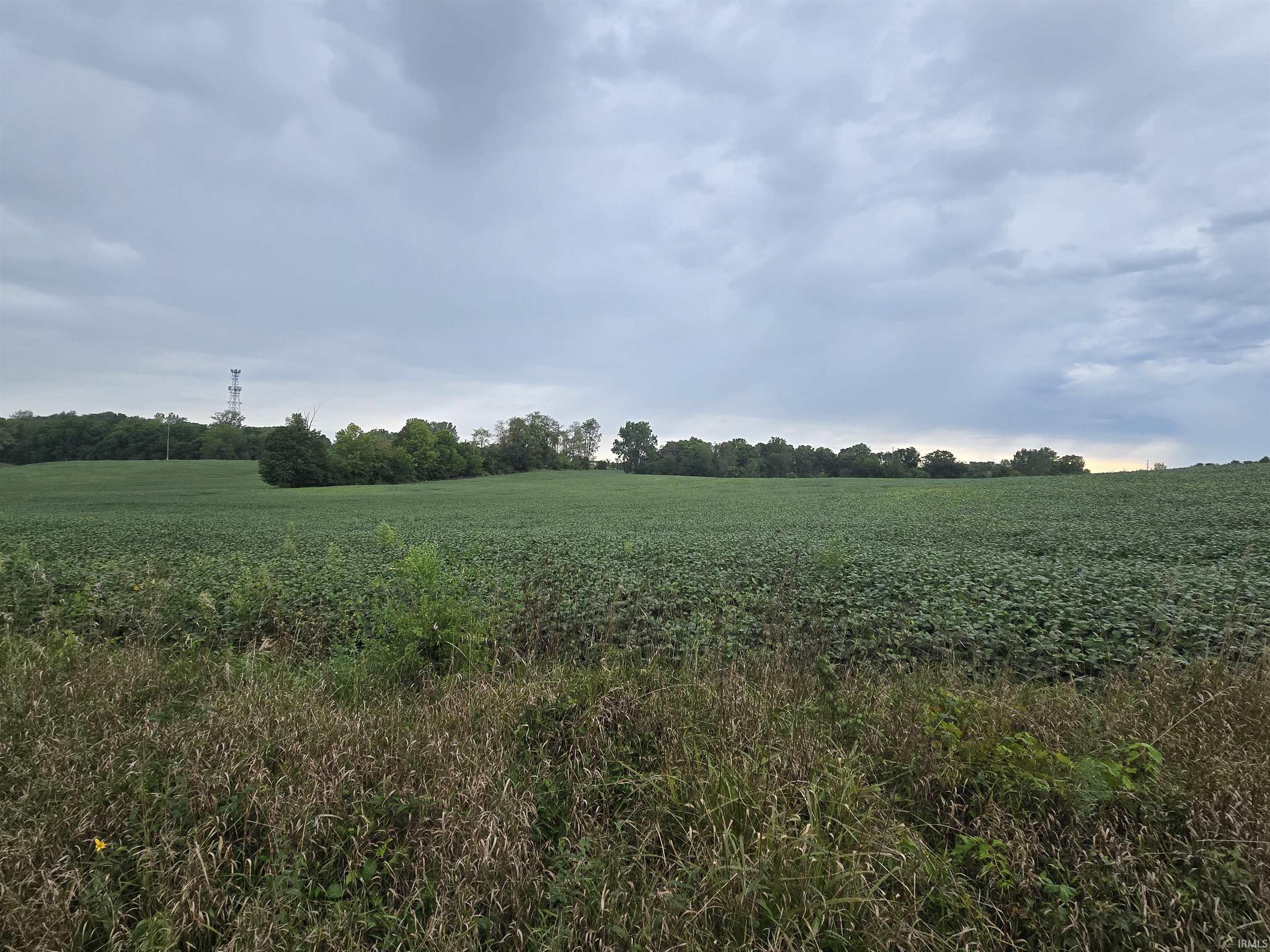 North Wolf Lake Road Albion, IN 46701 - Photo 2 of 9 Gallery Image 2