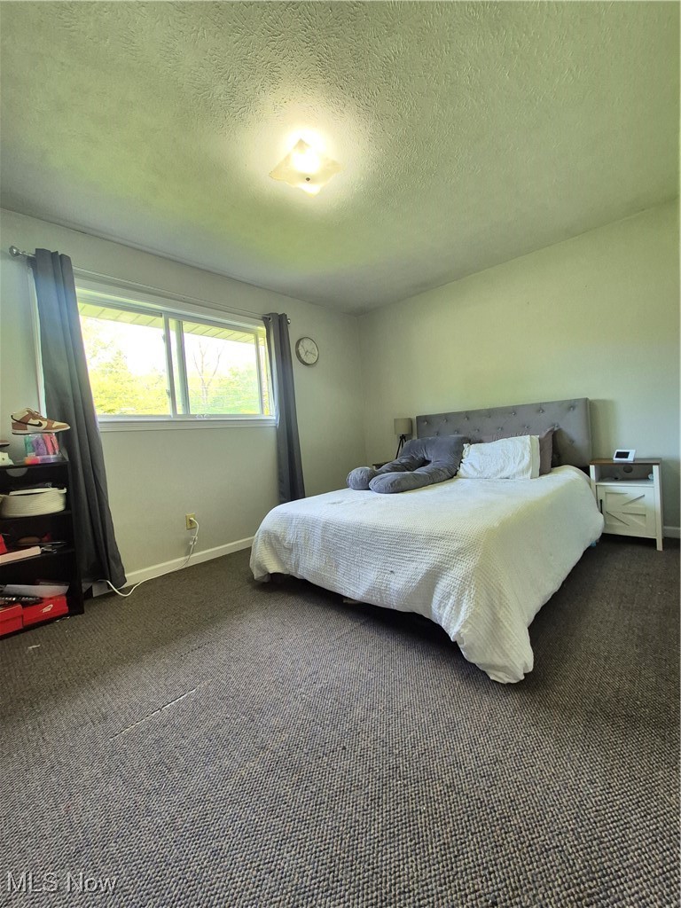 1534 Hubbard Road Madison, OH 44057 - Photo 14 of 15 Bedroom featuring carpet flooring, baseboards, and a textured ceiling