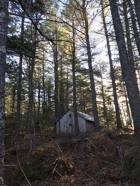 X X Off Ccc Road Machias, ME 04654 - Photo 42 of 57 IMG_1820