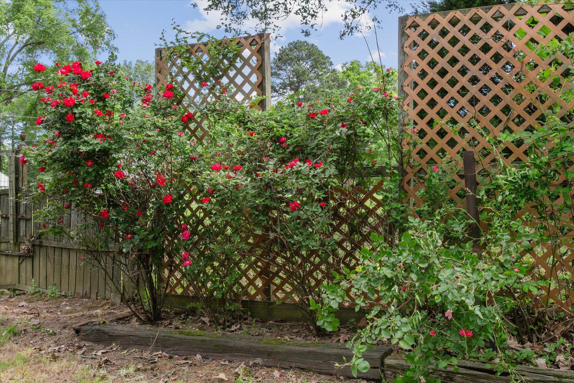 6173 Ivanhoe Road Bartlett, TN 38134 - Photo 34 of 35 a small garden covered with tall trees
