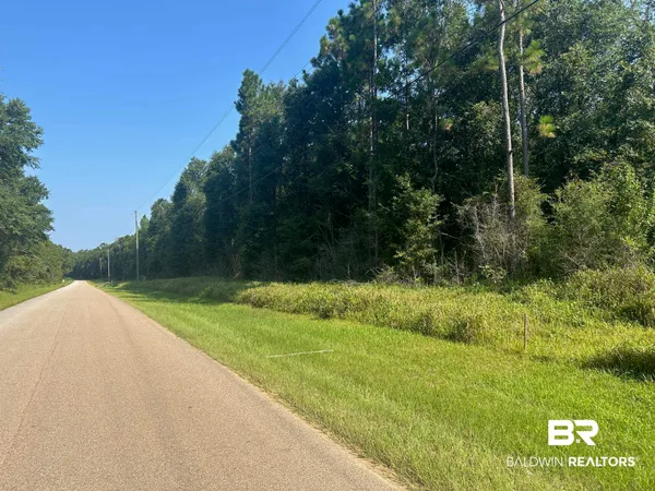 $120,000 | 0 Danner Road East, Wilmer, AL 36587