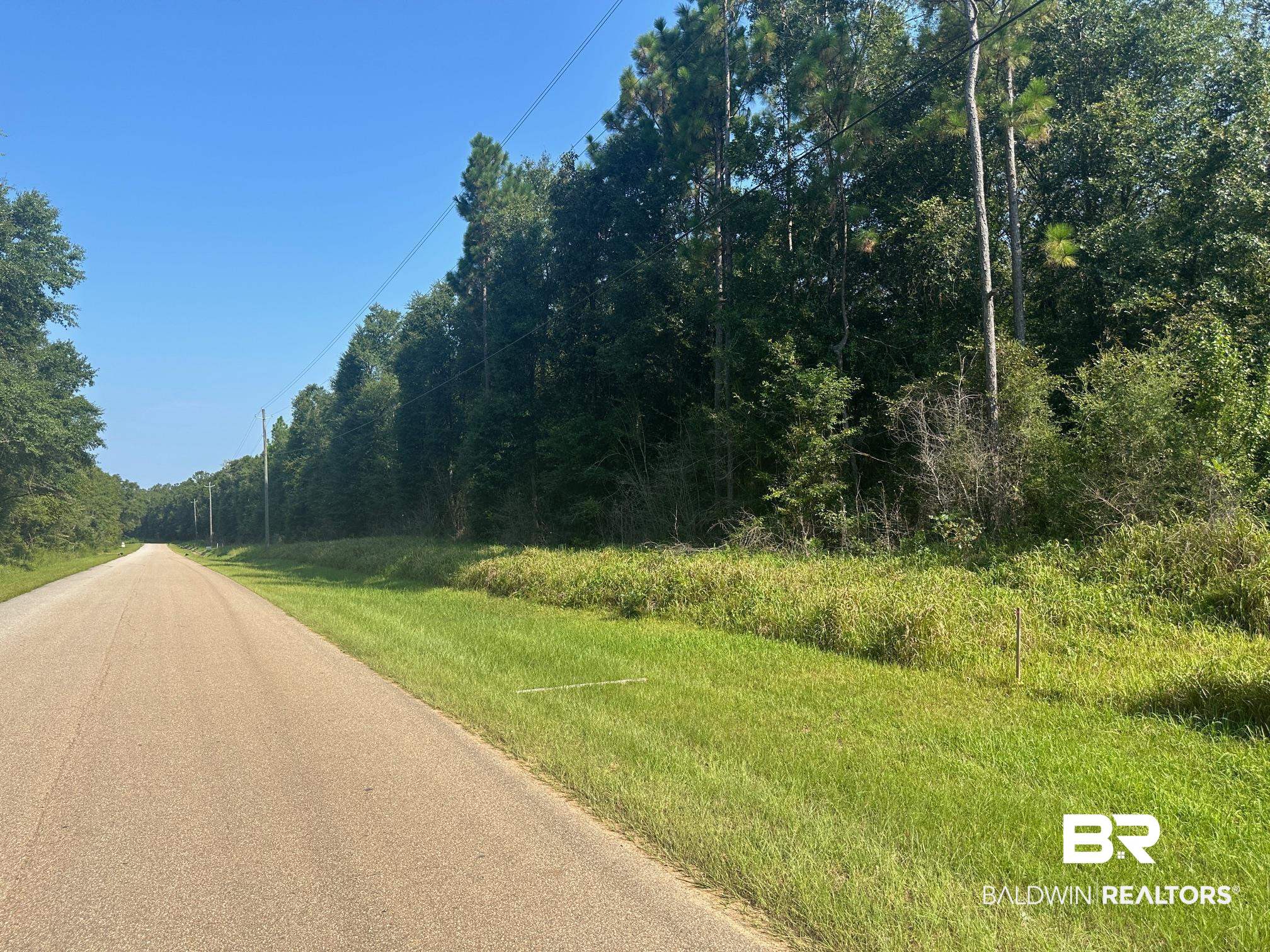 0 Danner Road East Wilmer, AL 36587 - Photo 1 of 13 View of asphalt street with a view of trees