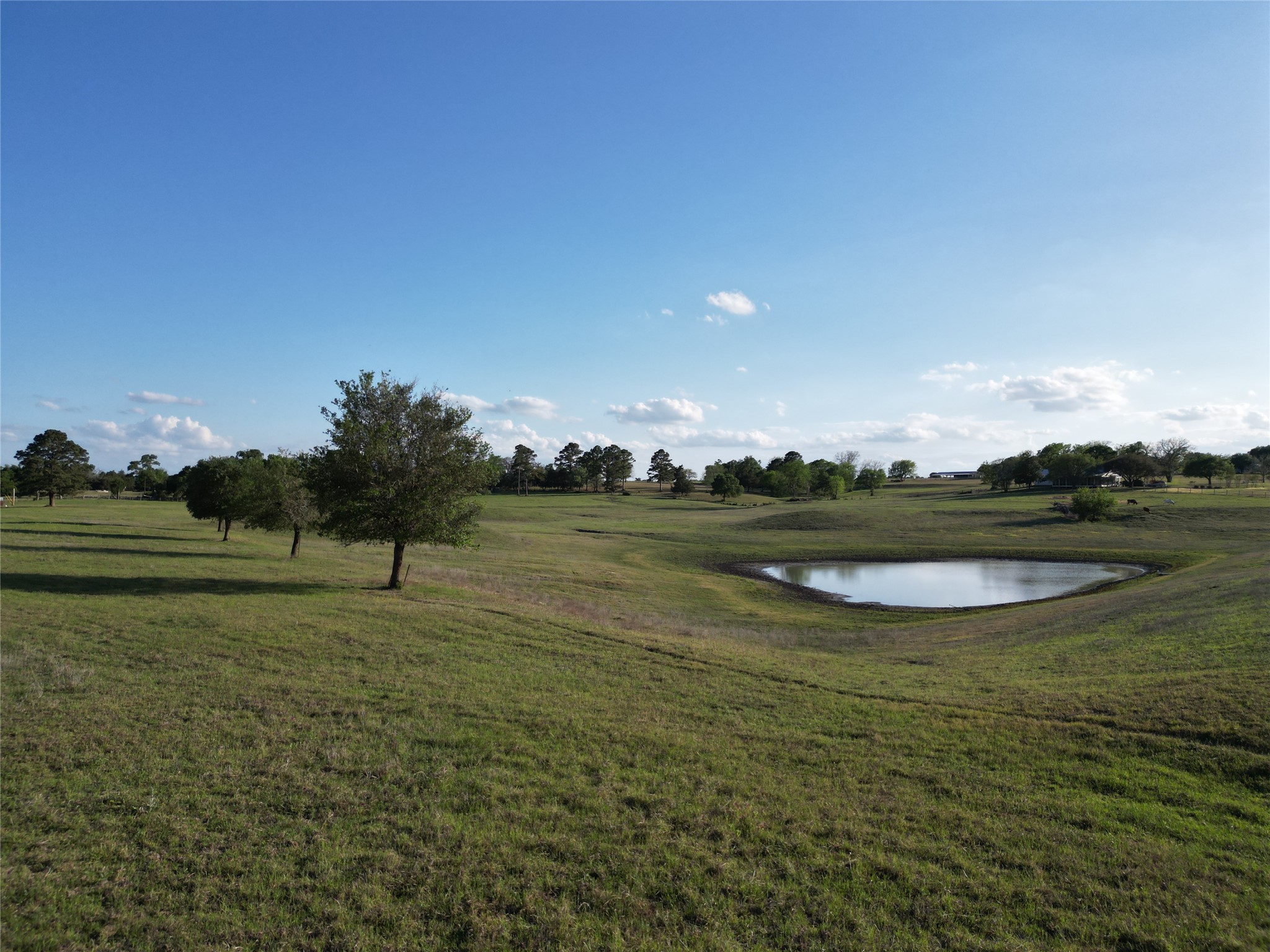 a view of a water pond with green space