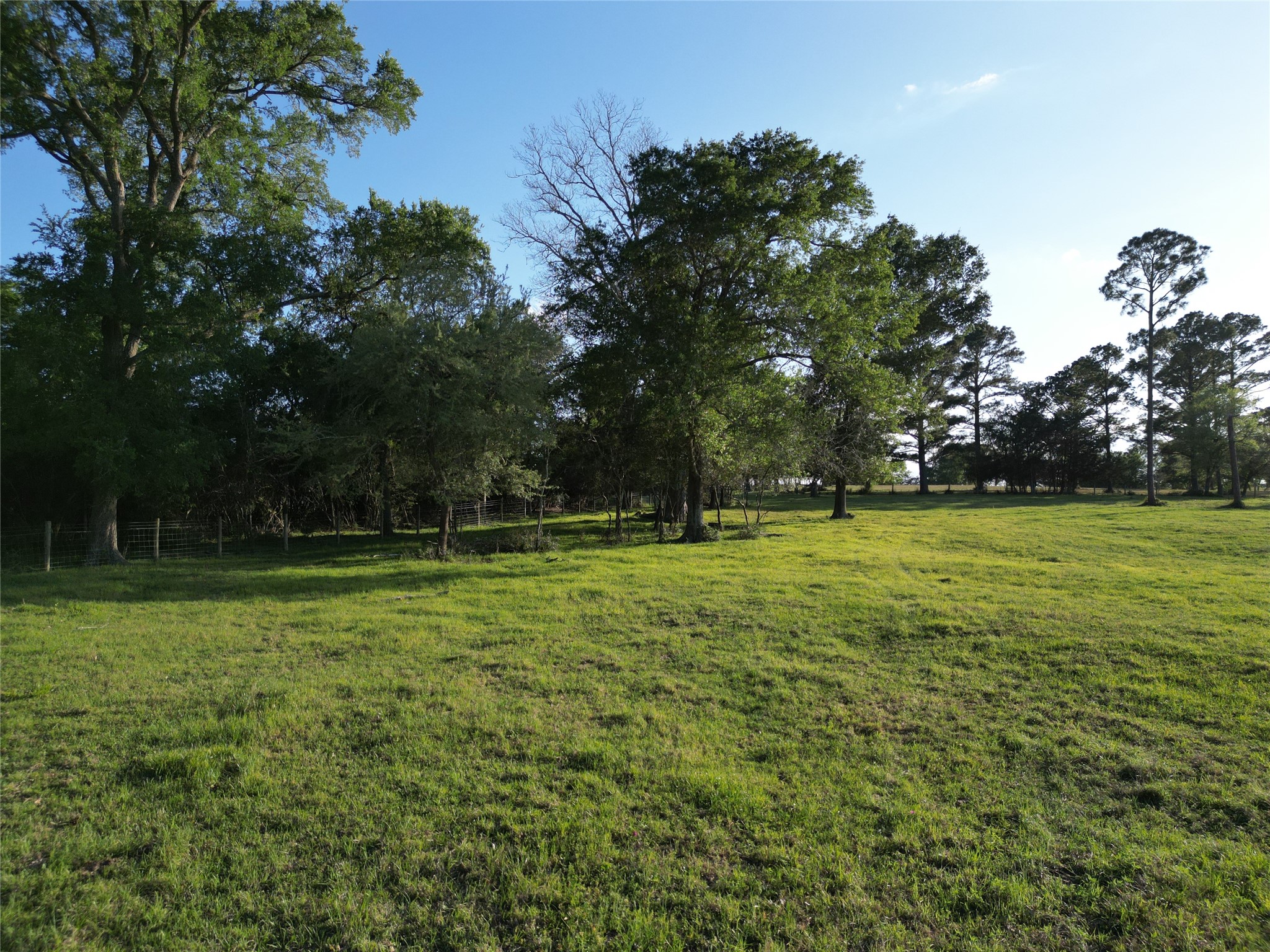 2525 North Meyersville Road Brenham, TX 77833 - Photo 12 of 22 a view of a park