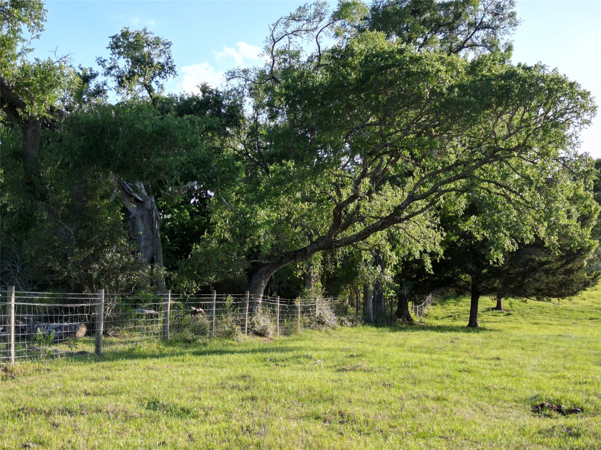 2525 North Meyersville Road Brenham, TX 77833 - Photo 13 of 22