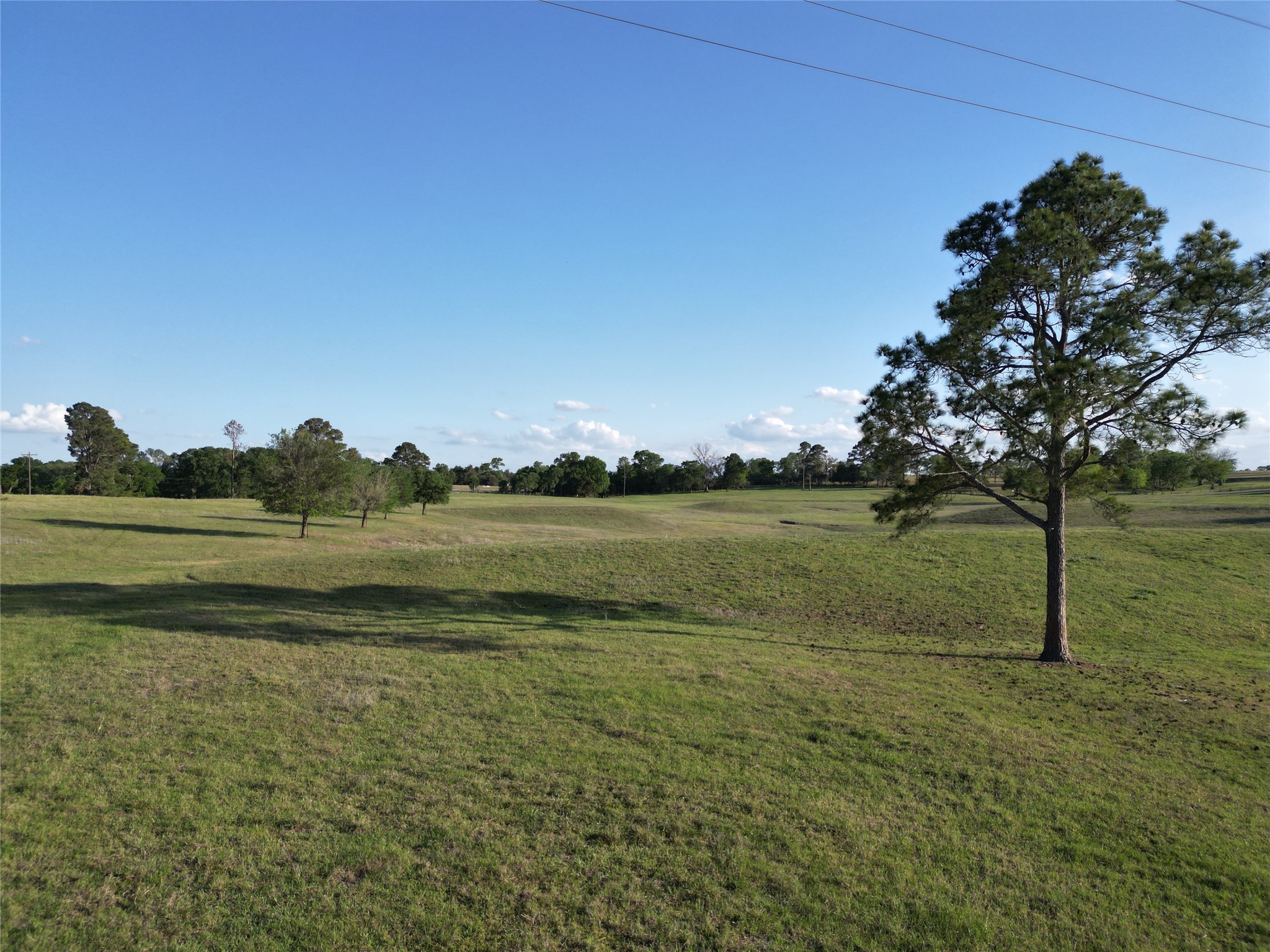 2525 North Meyersville Road Brenham, TX 77833 - Photo 15 of 22