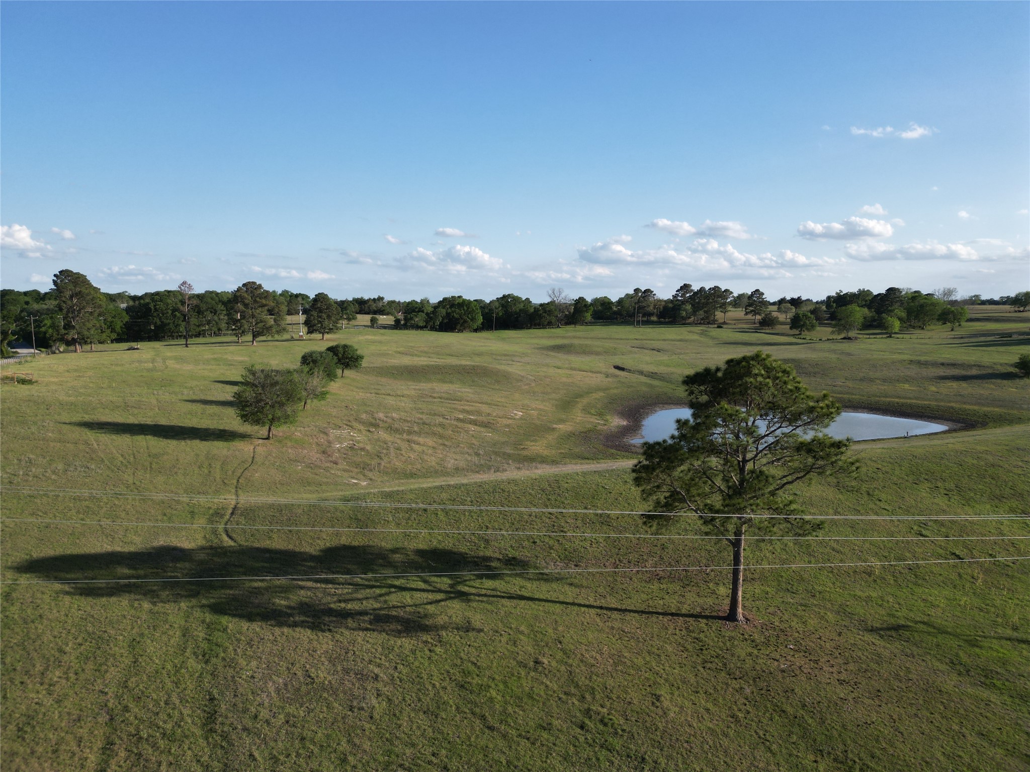 2525 North Meyersville Road Brenham, TX 77833 - Photo 16 of 22