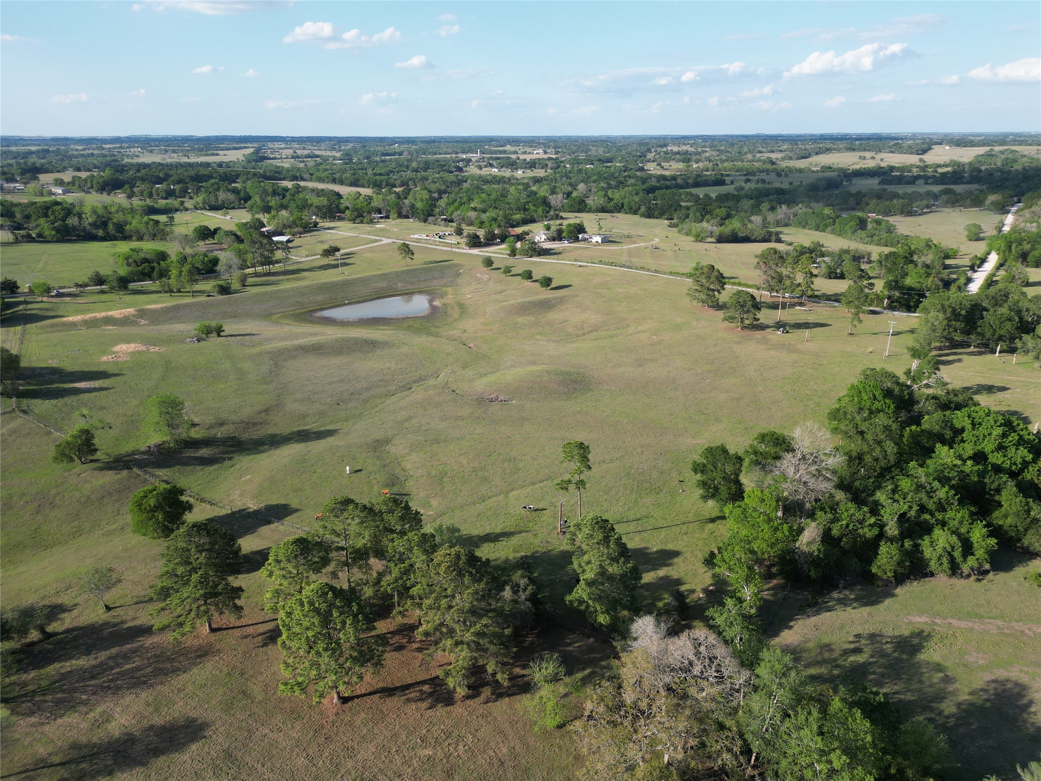 2525 North Meyersville Road Brenham, TX 77833 - Photo 4 of 22