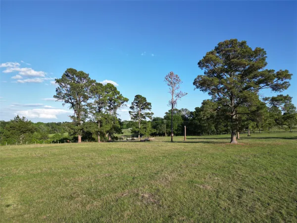 a view of a field with an trees in the background