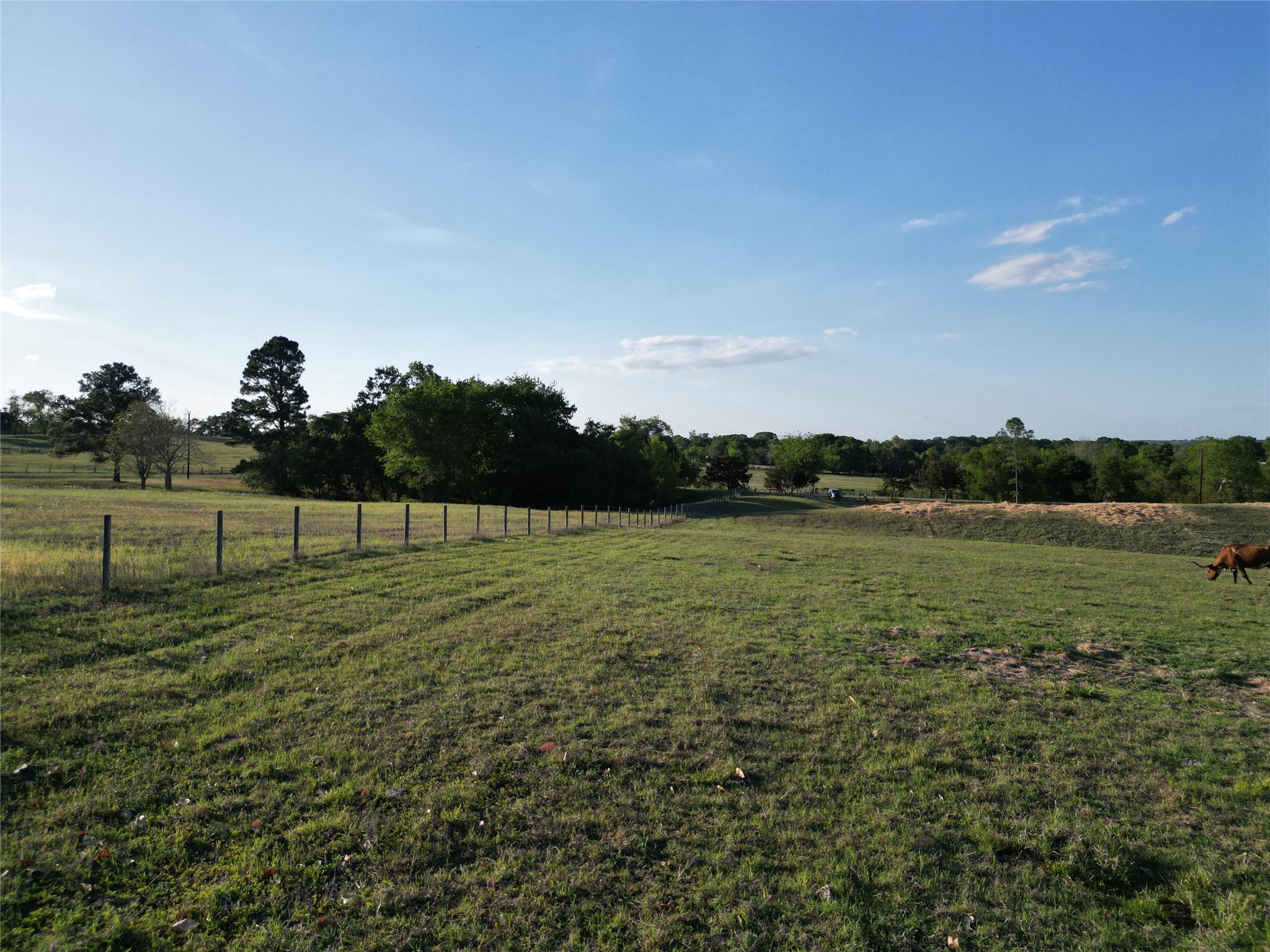 2525 North Meyersville Road Brenham, TX 77833 - Photo 9 of 22 a view of a golf course with a lake