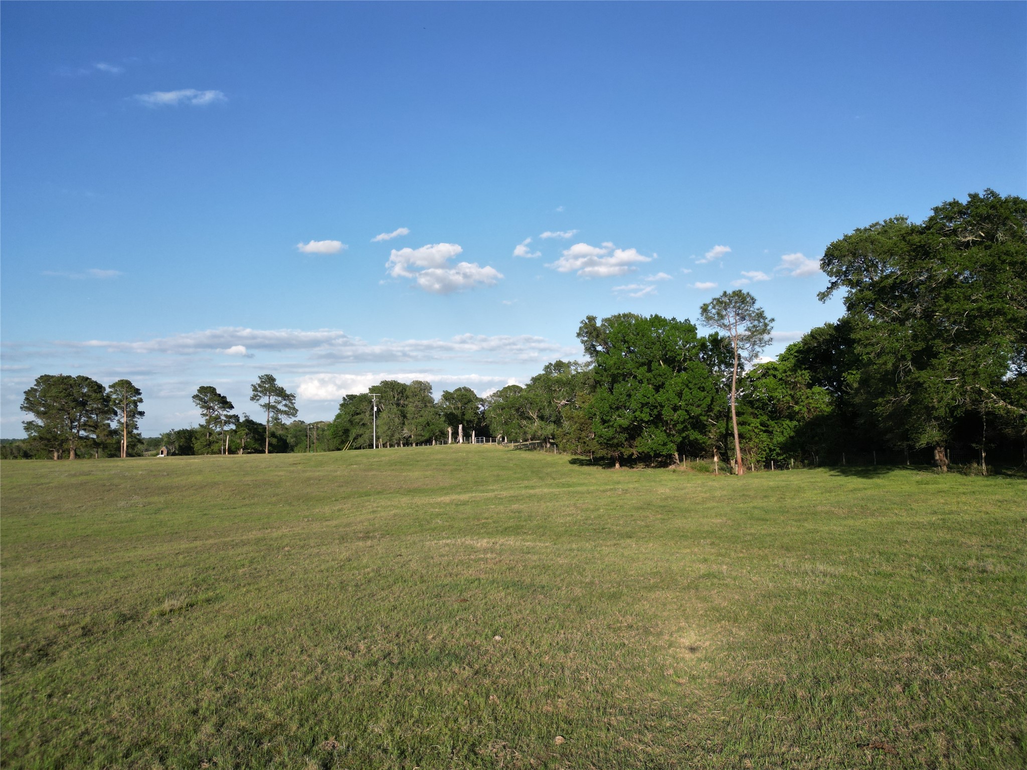 2525 North Meyersville Road Brenham, TX 77833 - Photo 10 of 22 a view of a field with an trees in the background