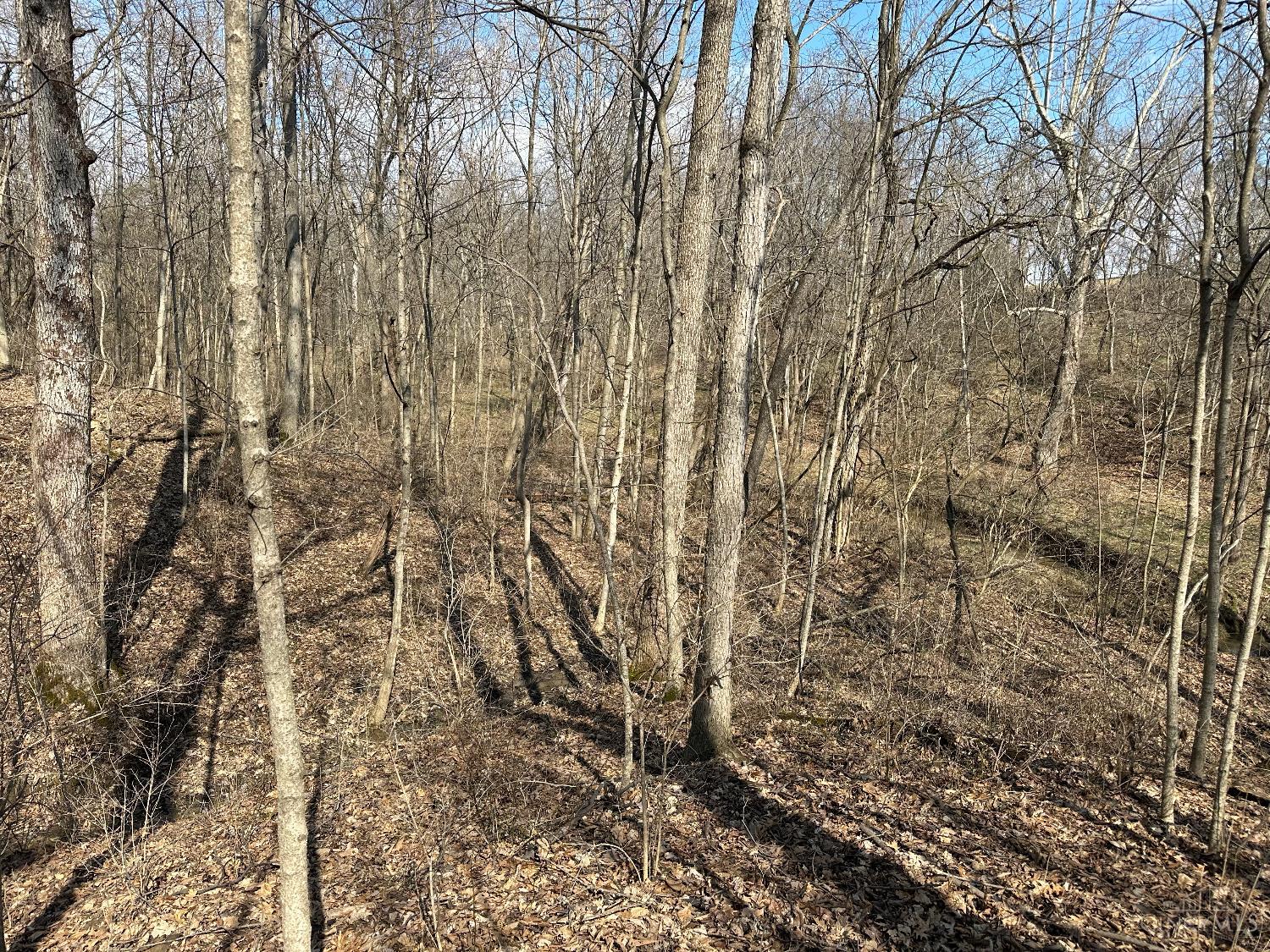 0 Wilson Road Winchester, OH 45697 - Photo 15 of 69