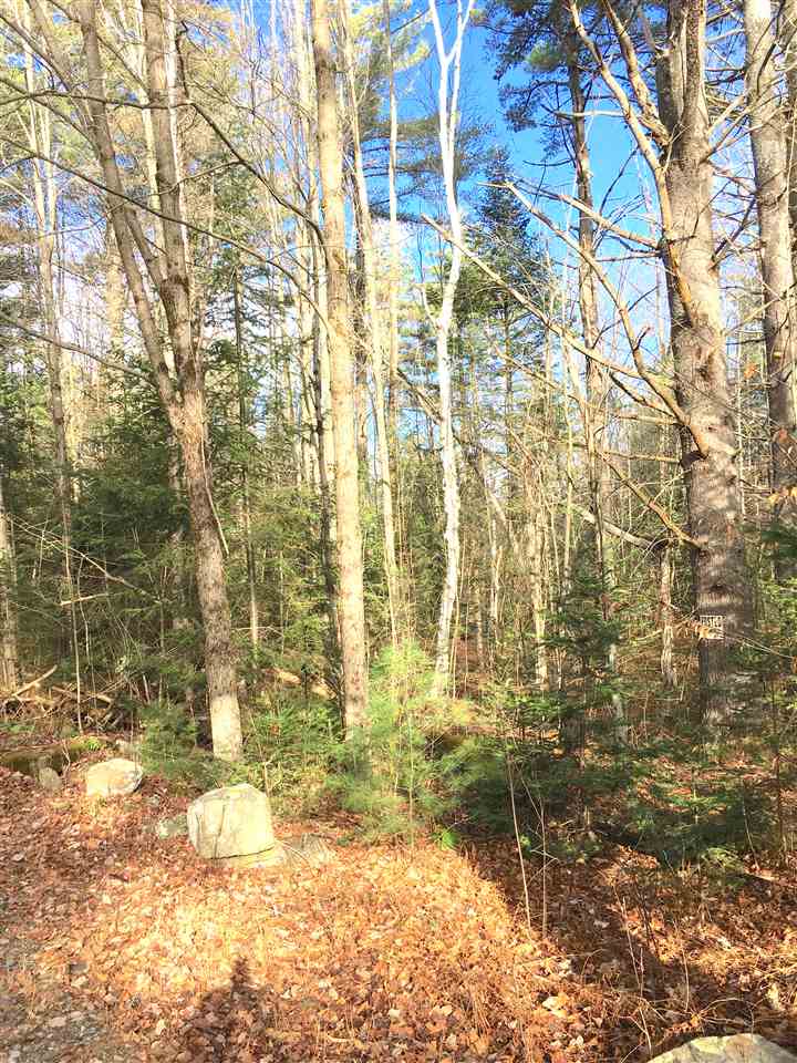 1 Gale Chandler Road, Unit 2A Landaff, NH 03585 - Photo 12 of 18