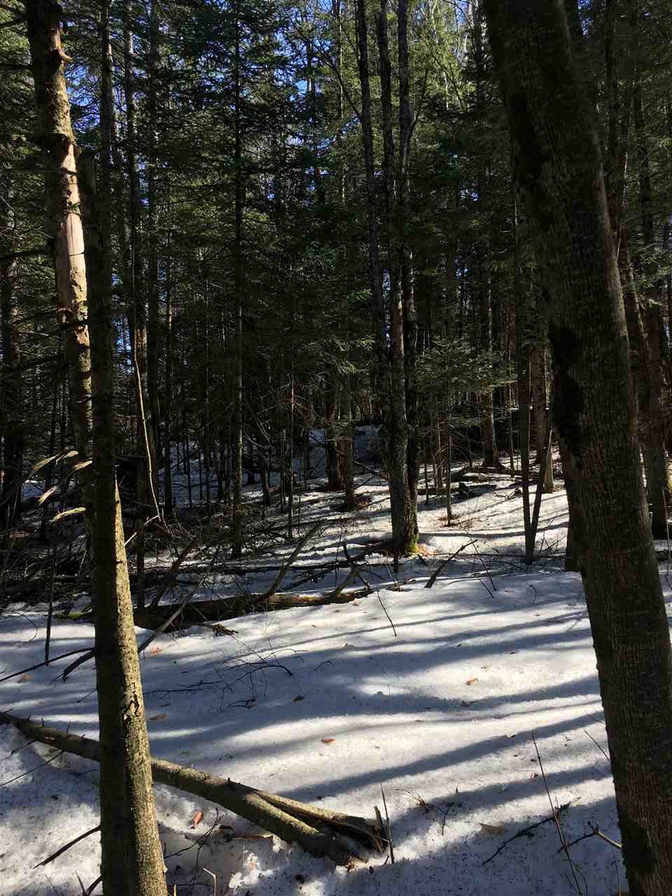 1 Gale Chandler Road, Unit 2A Landaff, NH 03585 - Photo 16 of 18
