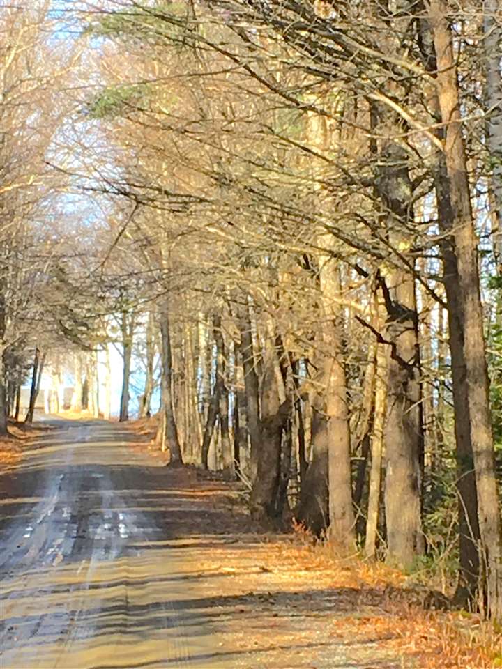 1 Gale Chandler Road, Unit 2A Landaff, NH 03585 - Photo 7 of 18