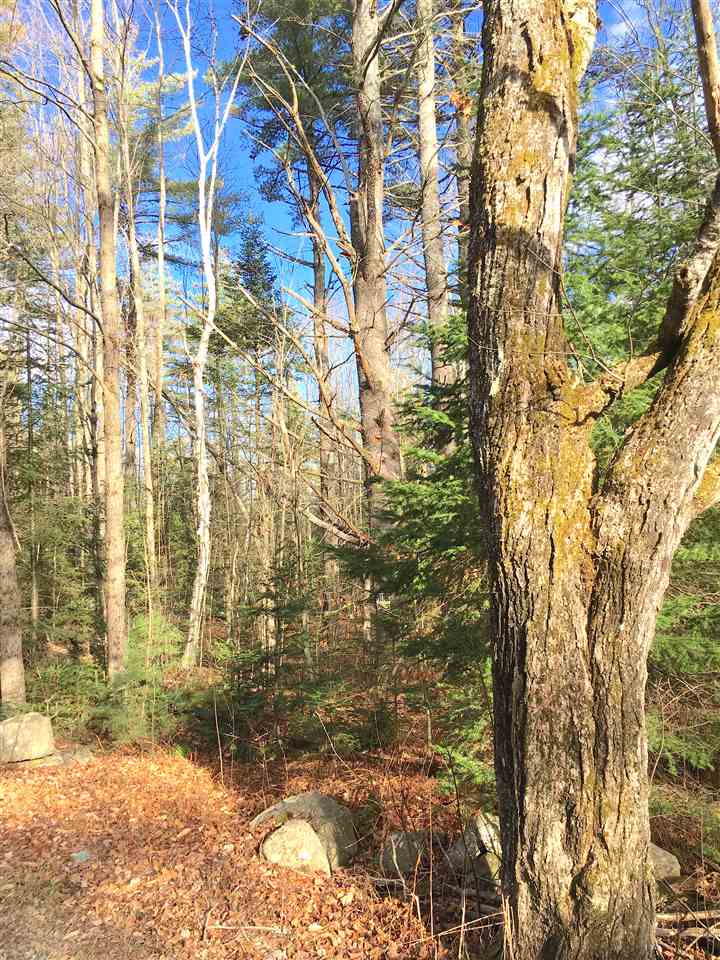 1 Gale Chandler Road, Unit 2A Landaff, NH 03585 - Photo 8 of 18