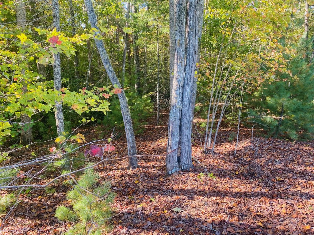 Lot 34 Point Overlook Trail Murphy, NC 28906 - Photo 3 of 17