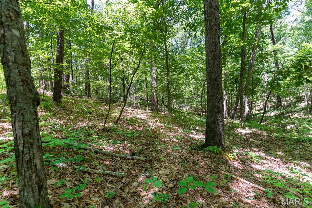 0 Lodge Road Bourbon, MO 65441 - Photo 7 of 18