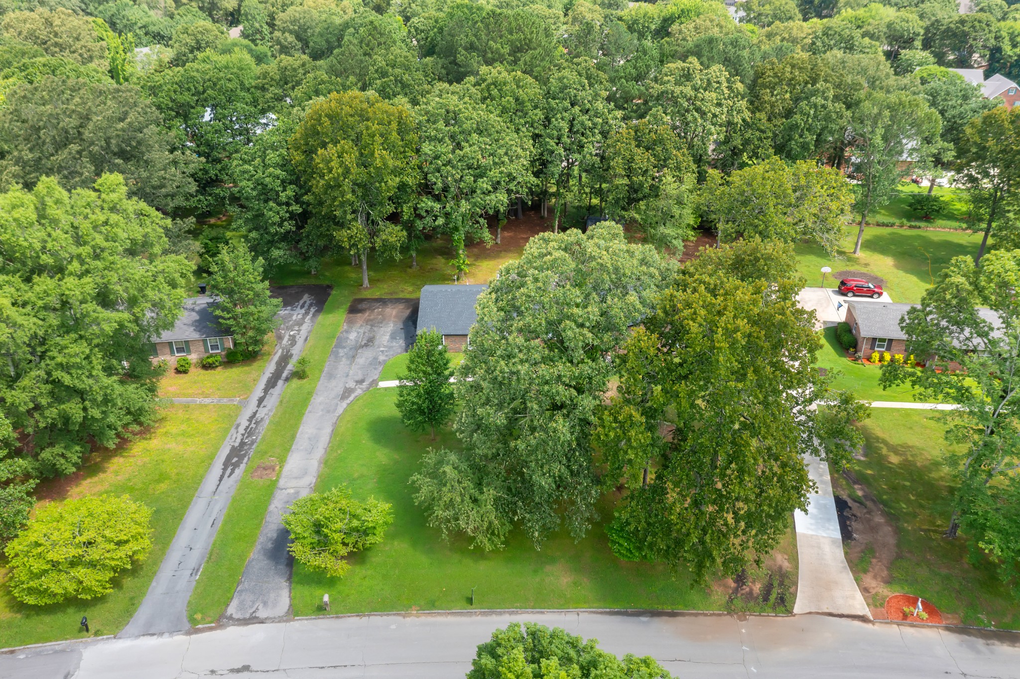 305 12 Oaks Road Tullahoma, TN 37388 - Photo 38 of 56 a view of a yard with plants