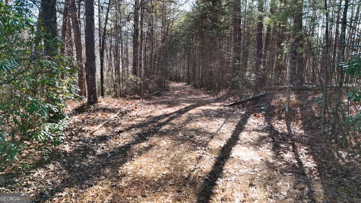 Lot 1 Gold Valley Road Sautee Nacoochee, GA 30571 - Photo 4 of 13