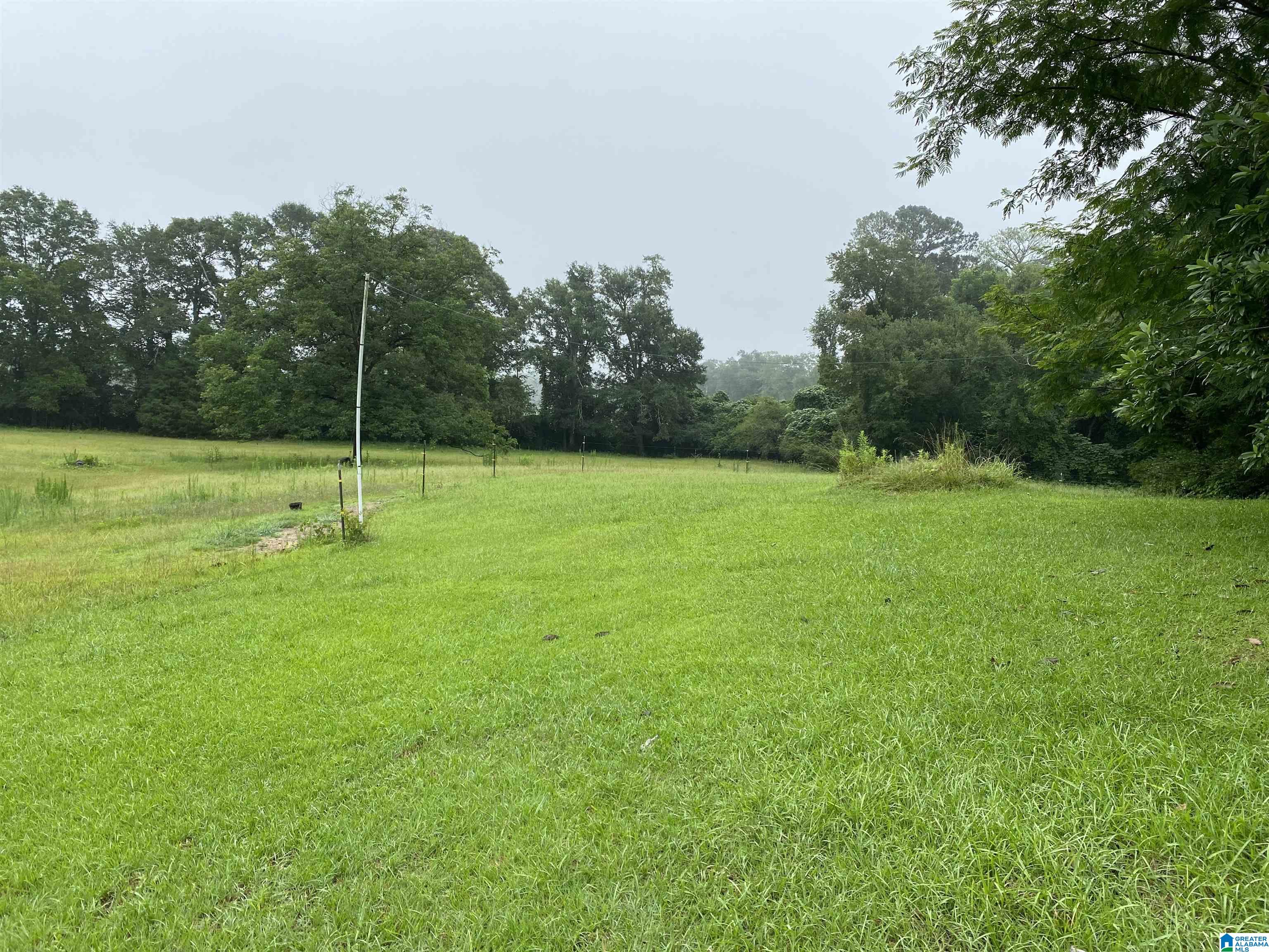 80 Old Collins Chapel Road Thorsby, AL 35171 - Photo 21 of 25