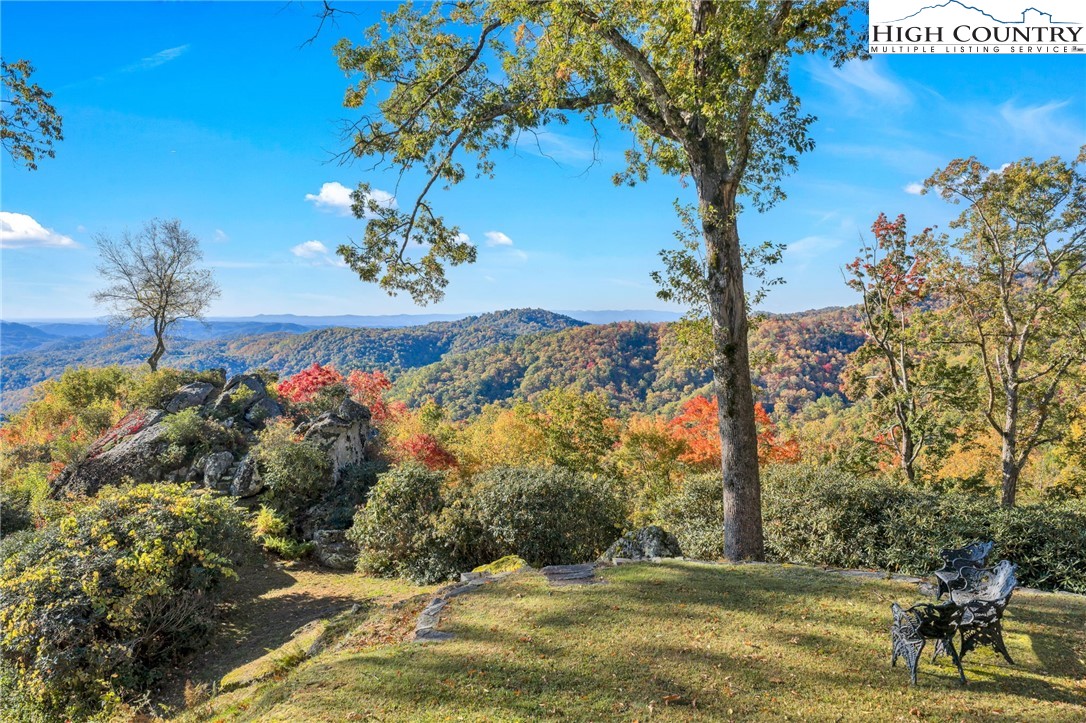 933 Thunder Ridge Lane Lenoir, NC 28645 - Photo 7 of 45 a view of a yard with a tree