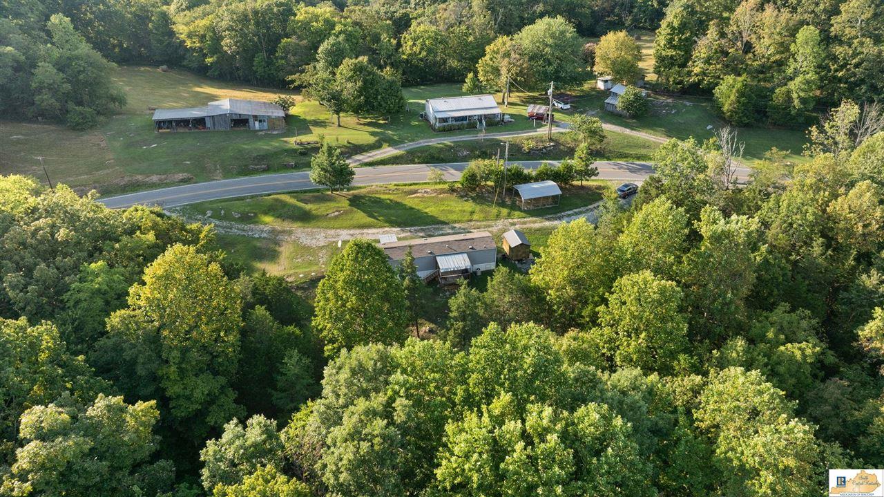 9625 Breeding Road Edmonton, KY 42129 - Photo 48 of 55 Gallery Image 48