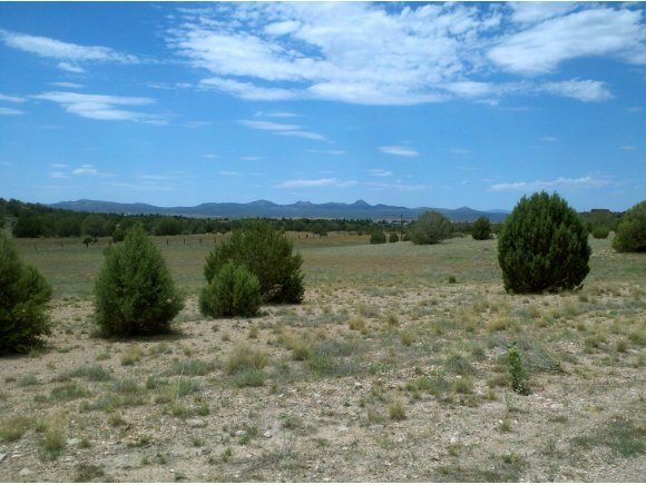 0 East Prescott Ranch Road Paulden, AZ 86334 - Photo 1 of 6 Primary Photo