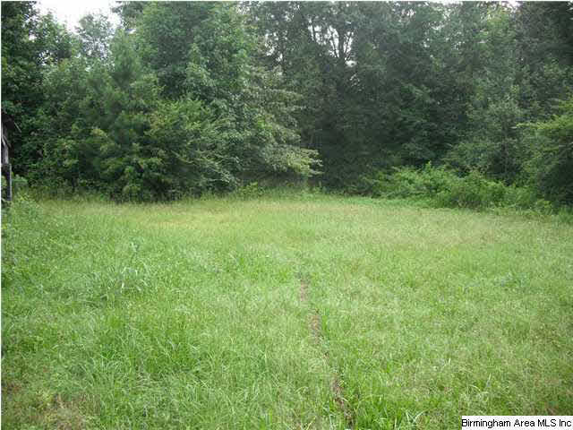 Sardis Road, Unit 1 Lineville, AL 36266 - Photo 12 of 22