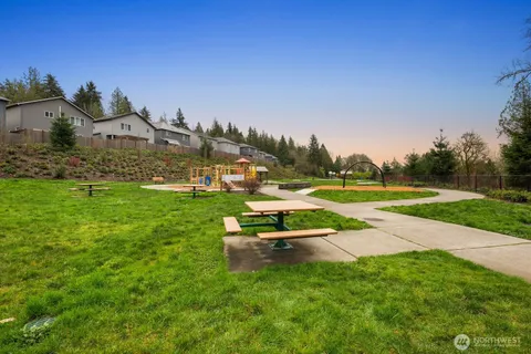 a view of a park with large trees