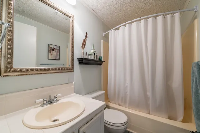 a bathroom with a sink a toilet and shower curtain