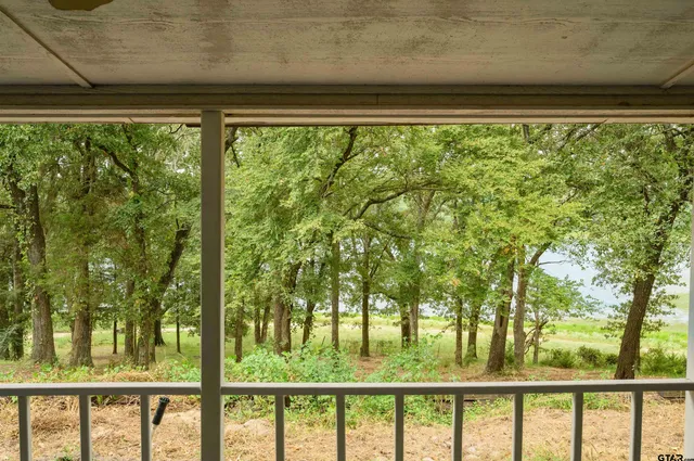 a view of a forest from a window