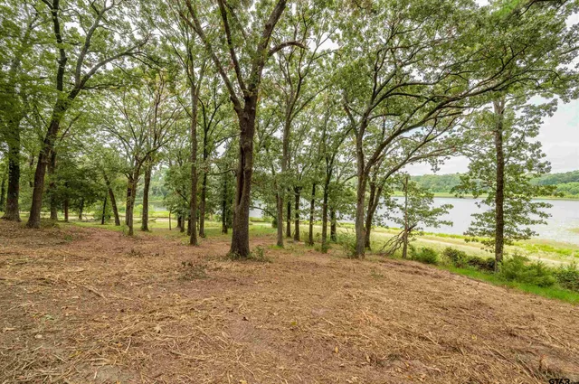 a view of open space with trees