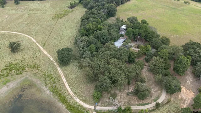 a view of a plant in a bathroom