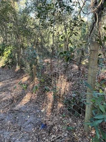 a view of backyard with green space